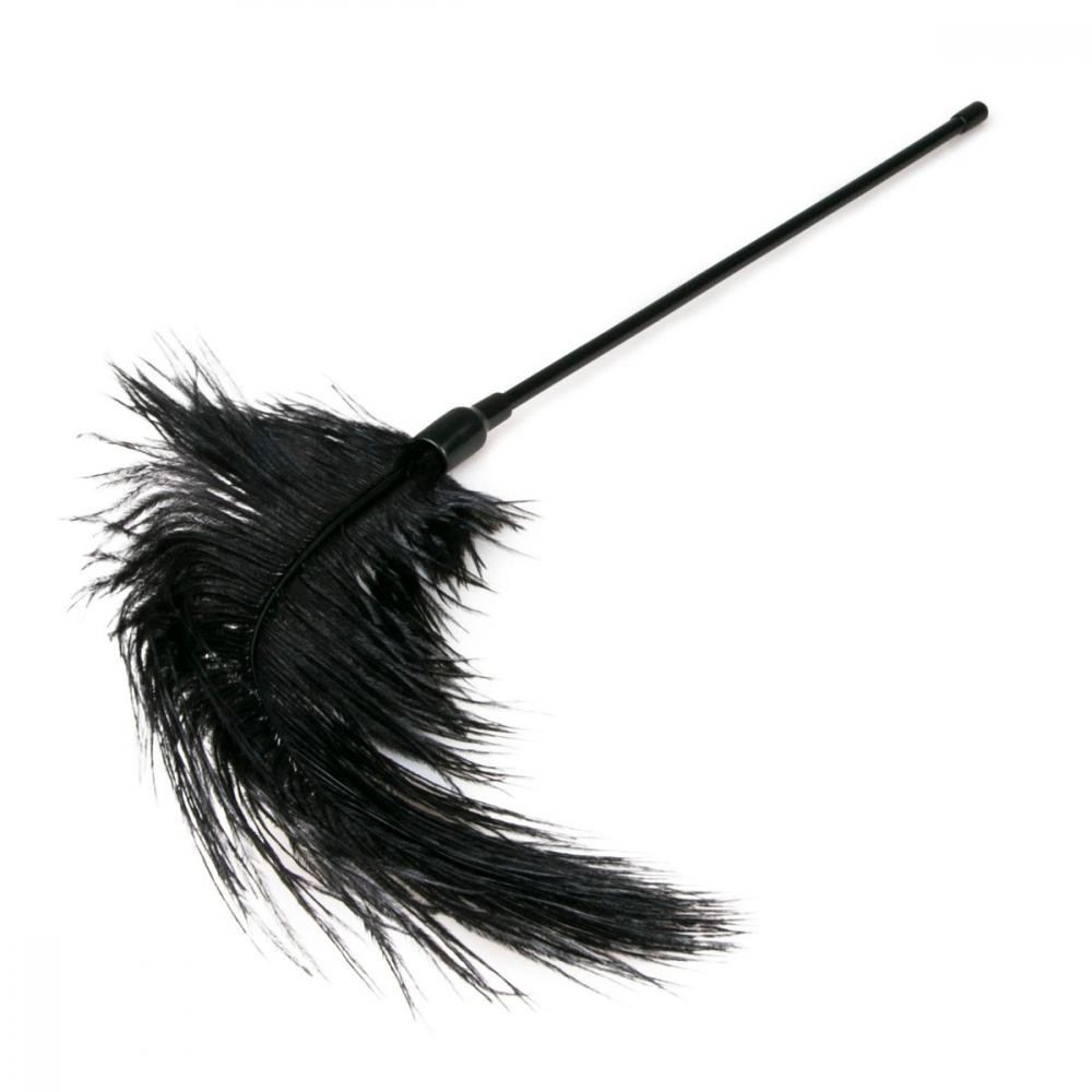 Easytoys Тіклер страусине на довгій ручці , чорний, 55 см (27924/ET254BLK-09) - зображення 1