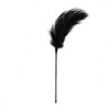 Easytoys Тіклер страусине на довгій ручці , чорний, 55 см (27924/ET254BLK-09) - зображення 2