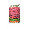 Carnilove True Fresh BEEF Adult 4 кг (8595602546046) - зображення 3