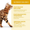 Optimeal Для взрослых кошек Курица 4 кг (4820083905575) - зображення 4