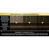 Syoss Oleo Intense 115 ml Краска для волос без аммиака 3-10 Глубокий каштановый (8410436227698) - зображення 2