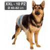 Croci Суперпоглинаючі підгузки для собак  Dog Nappy з еластичною стрічкою XXL вага 18-30 кг 50-75 см 10 шт - зображення 3