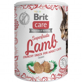 Brit Care Snack Superfruits Lamb 100 г (100651)