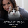 Pro Plan LiveClear Kitten Turkey 1,4 кг (7613287232526) - зображення 2