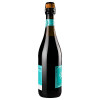 San Mare Вино ігристе  Lambrusco dell'Emilia Rosso червоне напівсолодке 8%, 0.75 л (8008820160692) - зображення 5