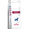 Royal Canin Hepatic HF16 1,5 кг (3927015) - зображення 9