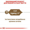 Royal Canin Ageing +12 85 г (4082001) - зображення 2