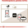 Royal Canin Ageing +12 85 г (4082001) - зображення 3