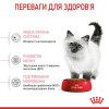 Royal Canin Kitten 4 кг (2522040) - зображення 7