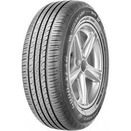   Goodyear EfficientGrip Performance (245/45R19 102V)