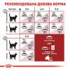 Royal Canin Fit 32 Adult 0,4 кг (2520004) - зображення 4