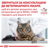 Royal Canin Calm Feline 2 кг (3955020) - зображення 5