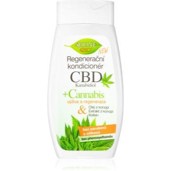 Bione Cosmetics Cannabis CBD відновлюючий кондиціонер для волосся 260 мл - зображення 1