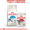 Royal Canin Indoor 27 2 кг (2529020) - зображення 4