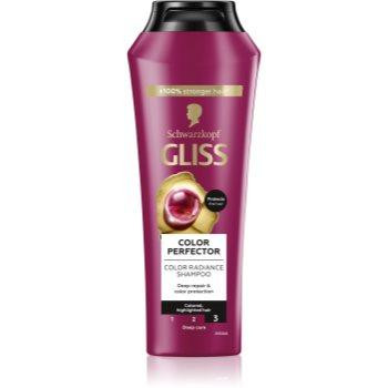 Schwarzkopf Gliss Colour Perfector поживний шампунь для фарбованого волосся 250 мл - зображення 1