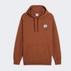 PUMA Коричнева чоловіча кофта  DOWNTOWN Graphic Hoodie TR 624361/81 - зображення 6