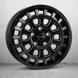   Borbet CW7 (R17 W7.0 PCD5x108 ET46 DIA65.1)