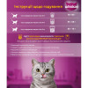 Whiskas Сухой корм для стерилизованных кошек С курицей 14 кг (5900951259418) - зображення 3