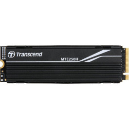   Transcend MTE250H 1 TB (TS1TMTE250H)