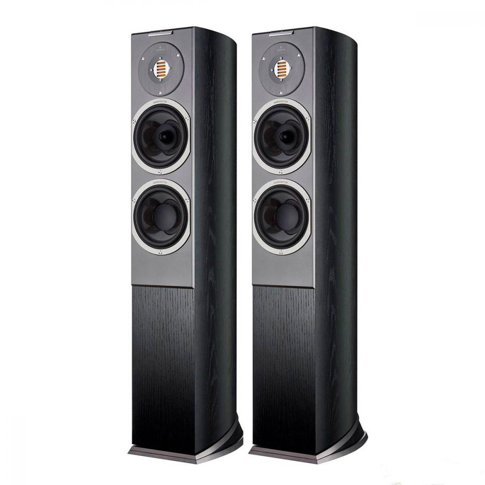 Audiovector R3 Signature Black Ash - зображення 1