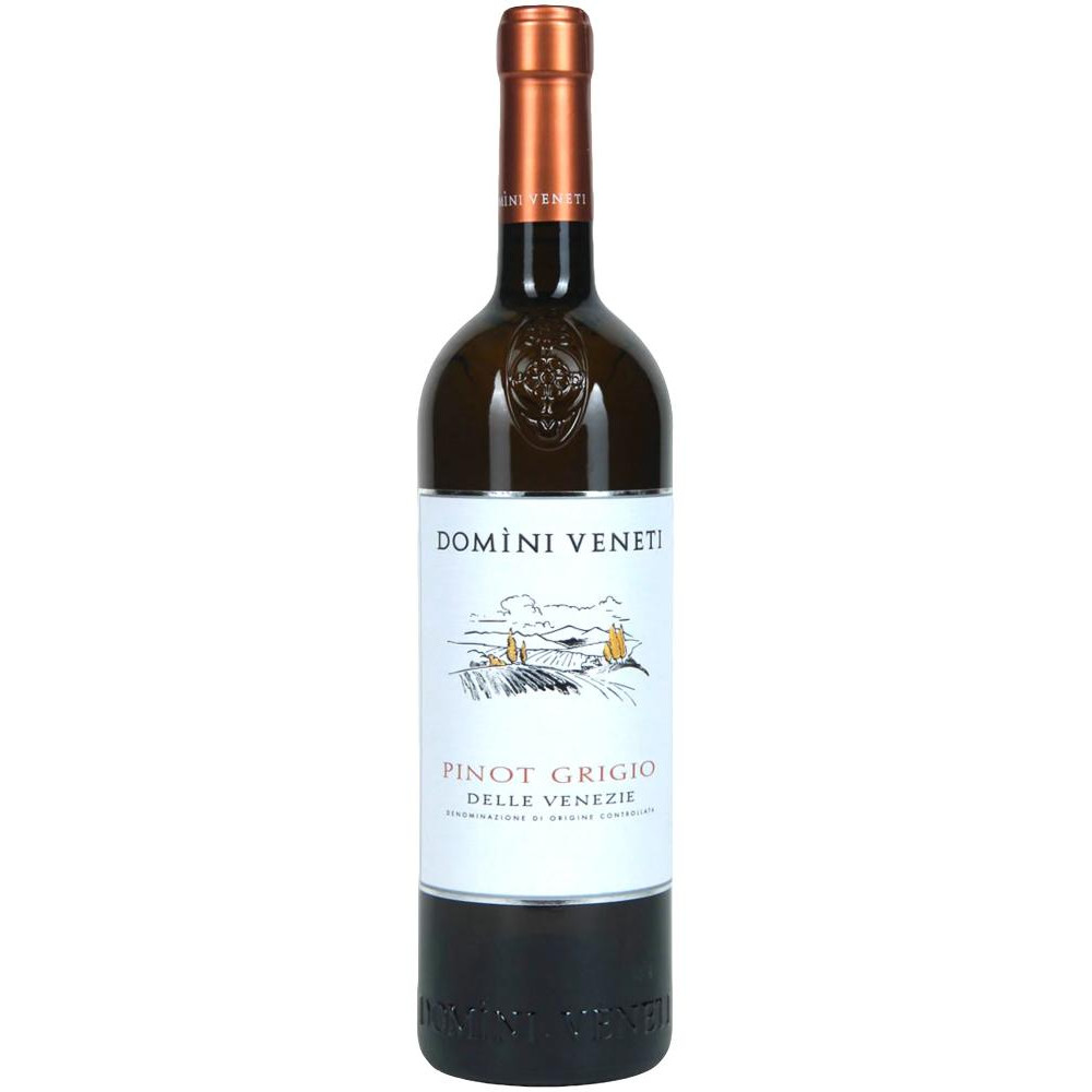 Domini Veneti Pinot Grigio вино біле 0.75л (8002053033105) - зображення 1