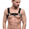 Feral Feelings Чоловічі портупеї на груди  - Bulldog Harness Black (SO9304) - зображення 1