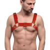 Feral Feelings Чоловічі портупеї на груди  - Bulldog Harness Red (SO9307) - зображення 1