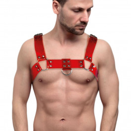   Feral Feelings Чоловічі портупеї на груди  - Bulldog Harness Red Trasparent (SO9306)