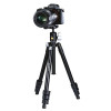 Vanguard Штатив  Vesta FB 204ABS (Vesta FB 204ABS) (DAS301002) - зображення 7