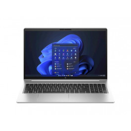 HP EliteBook 655 G10 Silver (75G72AV_V5)