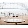 Riedel Набор бокалов для вина Cabernet Merlot 0,625 л 2 шт. 5900043 - зображення 5