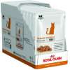 Royal Canin Mature Consult Balance 85 г (40900019) - зображення 2