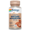 Solaray Shiitake Mushroom Гриби шиїтаке 600 мг 100 капсул - зображення 1
