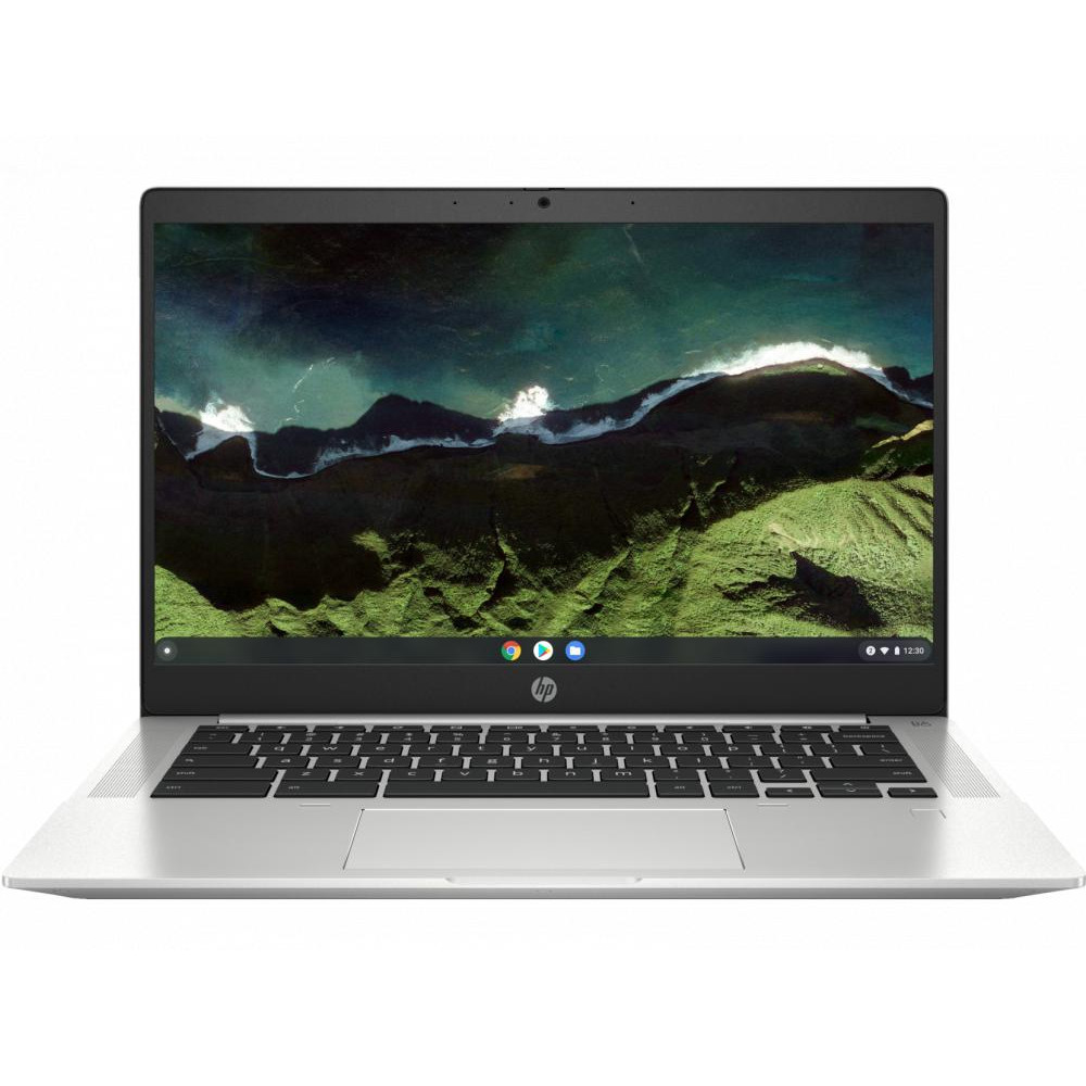 HP Pro c640 G2 Chromebook (4B0L1UT) - зображення 1