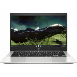 HP Pro c640 G2 Chromebook (4B0L1UT)