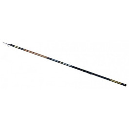   Fishing ROI Bolognese Cyclone (5.00m 10-30g)