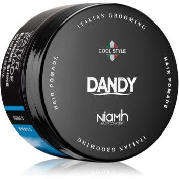 DANDY Water Pomade Extreme Shine помада для волосся 100 мл - зображення 1