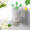 Airwick Змінний флакон до електричного ароматизатора  Білі квіти 19 мл (3219859) (5908252005598) - зображення 2