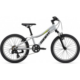   Giant XTC Jr. 20 2022 / рама 25,4см good gray (2204029120)