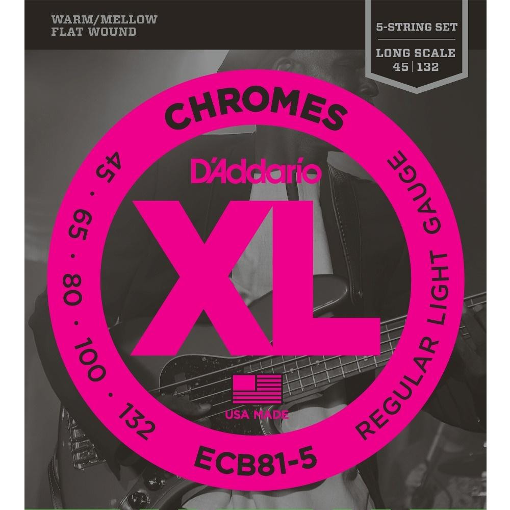 D'Addario ECB81 Chromes Flatwound Regular Light Bass Strings 45/100 - зображення 1