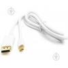 PowerPlant DisplayPort - Mini DisplayPort 1m White (CA911868) - зображення 1