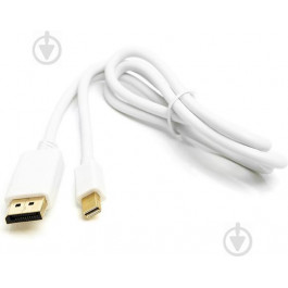   PowerPlant DisplayPort - Mini DisplayPort 1m White (CA911868)