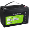 Green Cell CAV13 LiFePO4 12.8V 125Ah 1600Wh - зображення 1