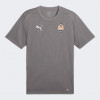 PUMA Сіра чоловіча футболка  FCSD Training Jersey Pro 777853/05 L - зображення 6