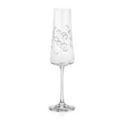 Crystalex Набір келихів для шампанського Vesna 210мл b40862-Q9469/210