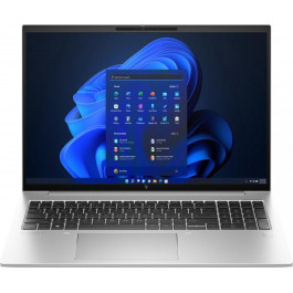 HP EliteBook 865 G10 Silver (818P1EA)
