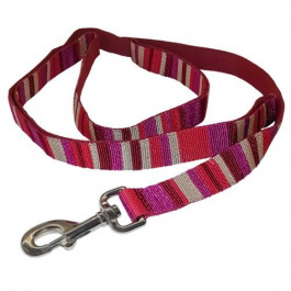   Coastal Повідець  Pet Attire Weave для собак, нейлон, принт смужка, червоний, 120x2.5 см (40906_STP06)