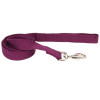 Coastal (Костал) New Earth Soy Dog Leash - Экоповодок соевый для собак 2,5х183 см (14906_EGP06) - зображення 1