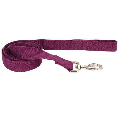 Coastal (Костал) New Earth Soy Dog Leash - Экоповодок соевый для собак 2,5х183 см (14906_EGP06) - зображення 1