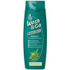 Wash&Go Шампунь  для сухого волосся з екстрактом алое вера 200 мл (8008970042015) - зображення 1